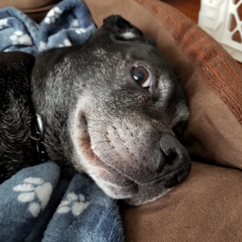 Hi I'm Eric. I sell a lot of video game stuff.